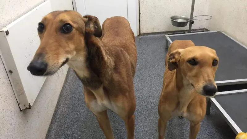 received 1626013034156960