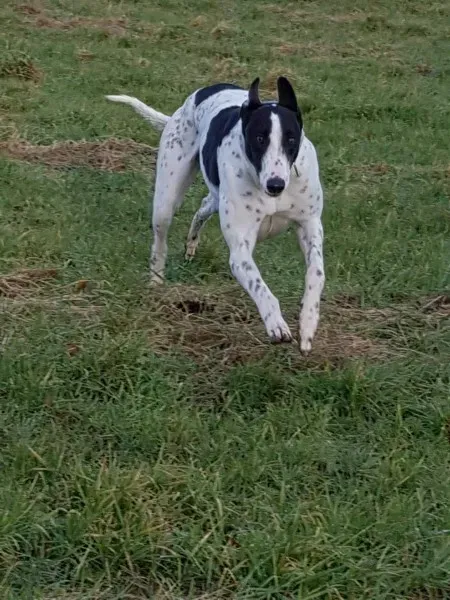 received 1668222423269354