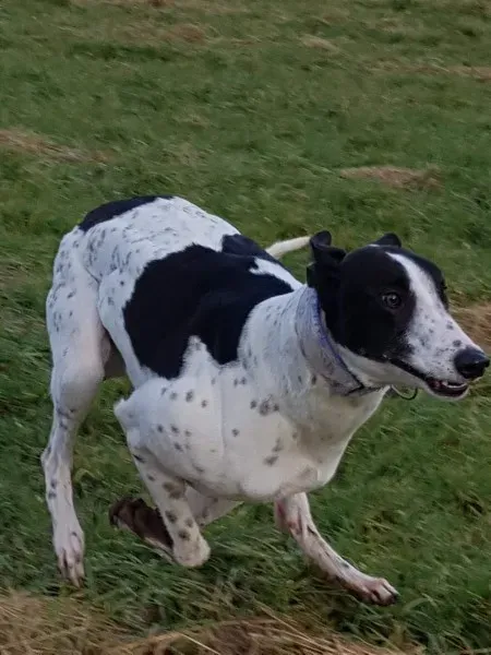 received 1668222429936020