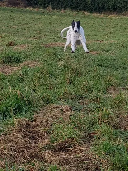 received 1668222433269353