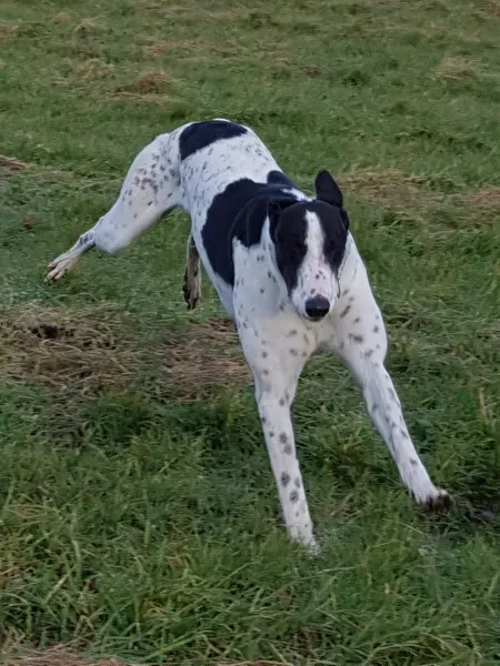 received 1668222436602686