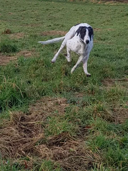 received 1668222443269352