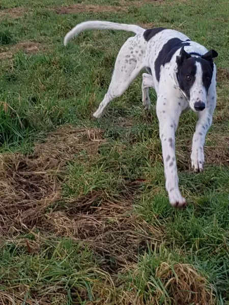 received 1668222446602685 1