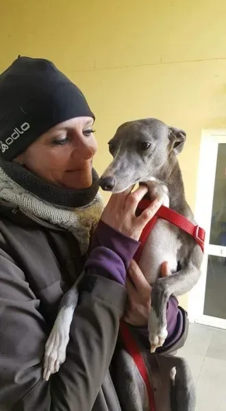 received 1701269443297985