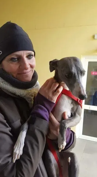 received 1701269446631318