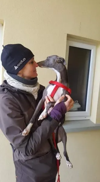 received 1701272466631016