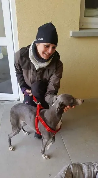 received 1701272473297682