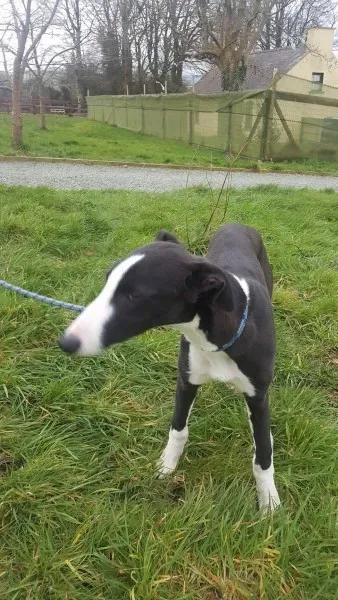 received 1701277453297184