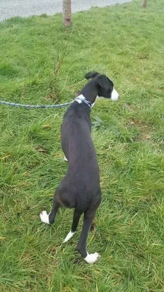 received 1701277459963850