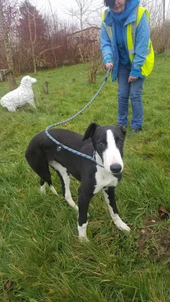 received 1701277476630515