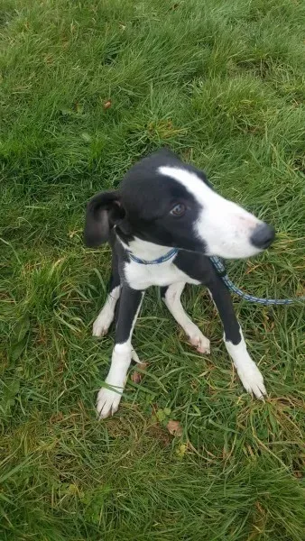 received 1701277486630514