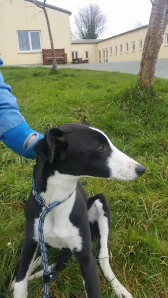 received 1701277509963845