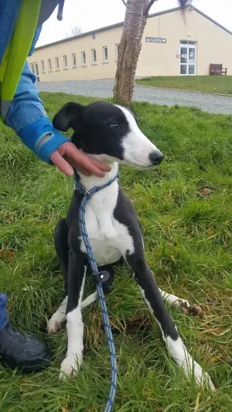 received 1701277523297177