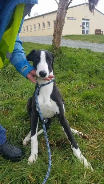 received 1701277529963843