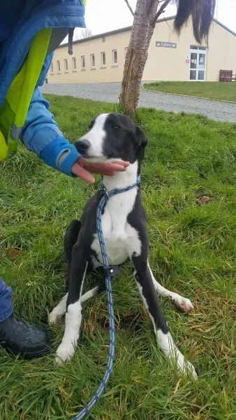 received 1701277543297175