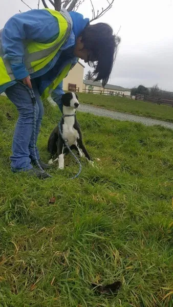 received 1701277549963841