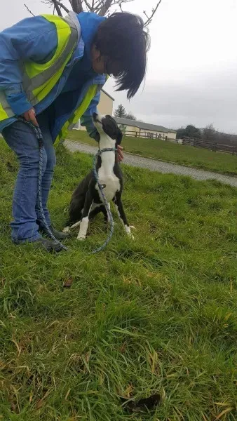 received 1701277563297173