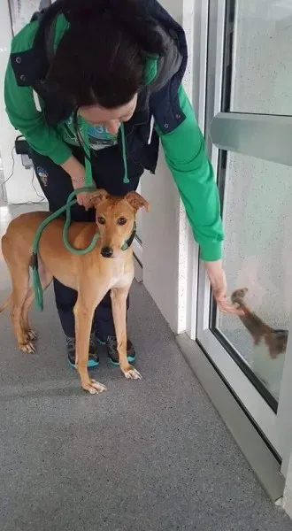 received 1702179213207008