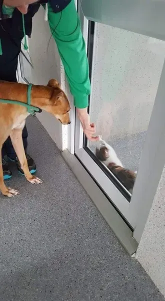 received 1702179216540341