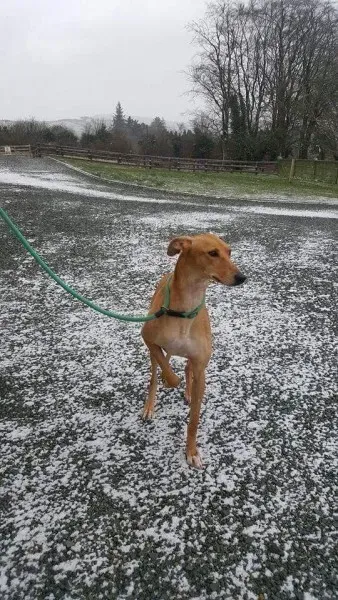 received 1702179236540339