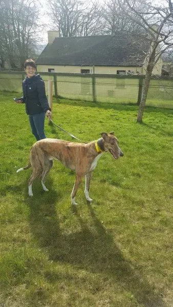 received 1712716722153257