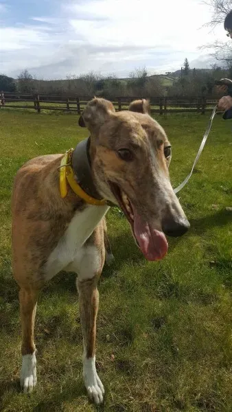 received 1712716992153230