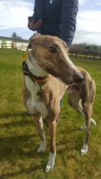 received 1712717035486559