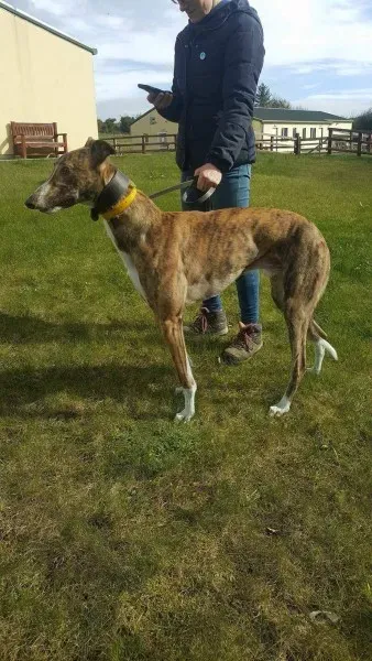 received 1712717122153217