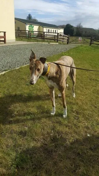 received 1712717222153207