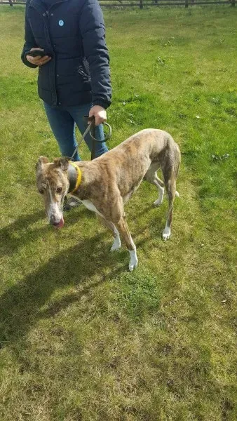 received 1712717405486522