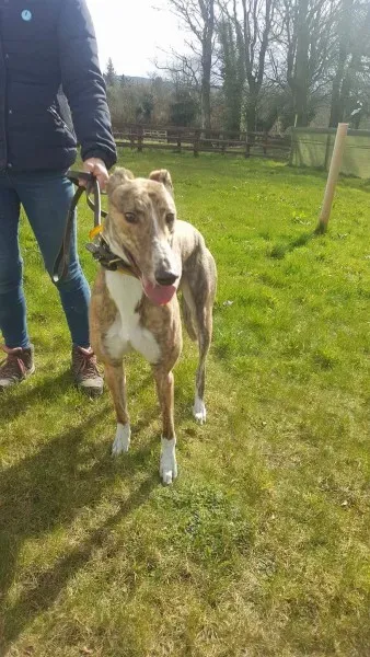 received 1712717492153180