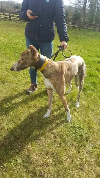 received 1712717635486499