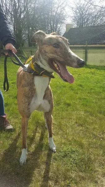 received 1712717902153139