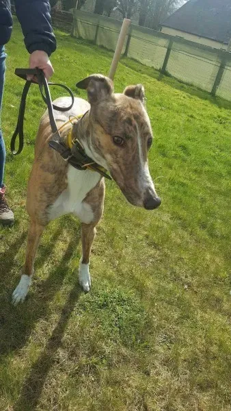 received 1712718028819793