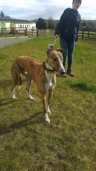 received 1712718125486450