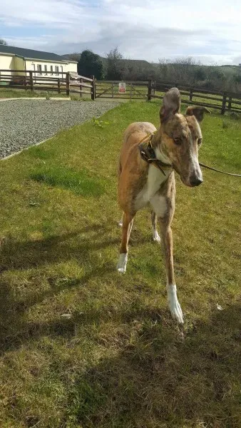 received 1712718192153110