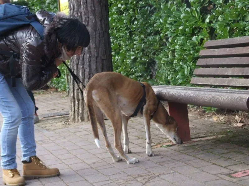 received 779900388847675