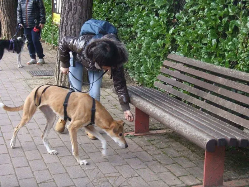 received 779900485514332