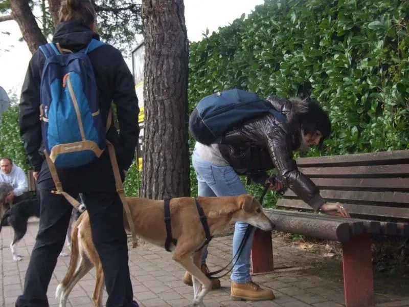 received 779902155514165