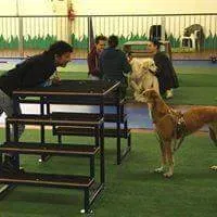 received 779902348847479