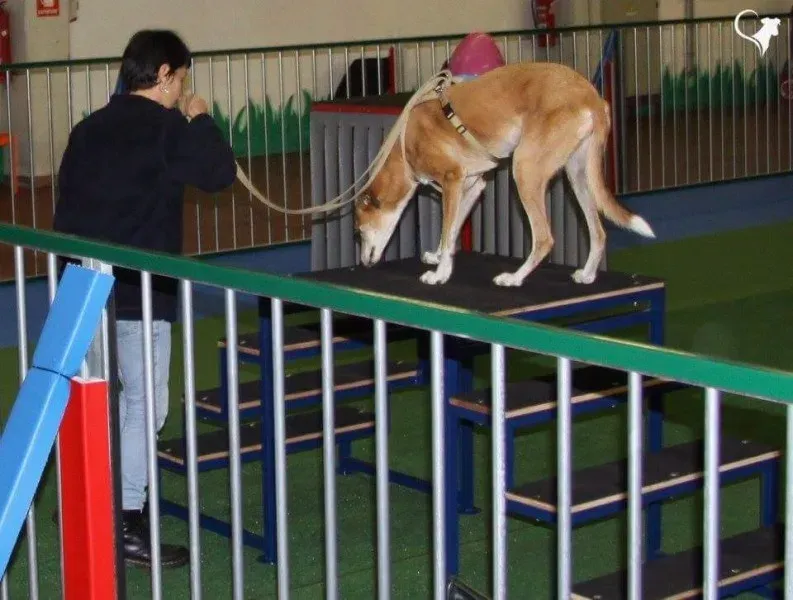 received 779902408847473