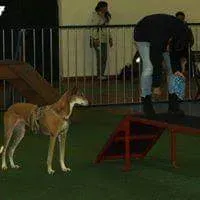 received 779902452180802