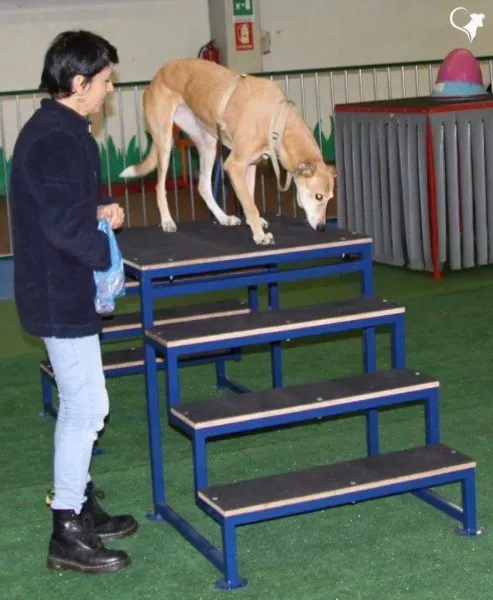 received 779902662180781