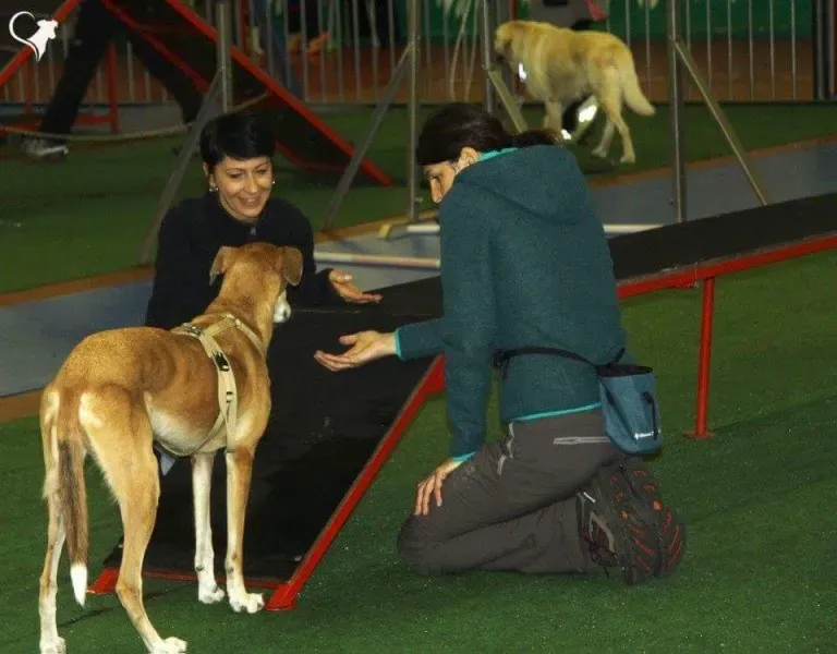 received 779903248847389