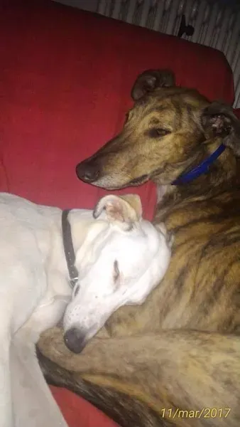 received 789380484550551