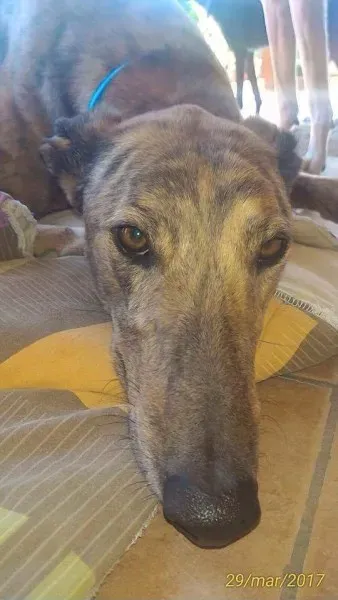 received 789380581217208