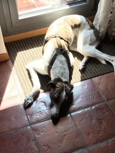 received 792378580917408