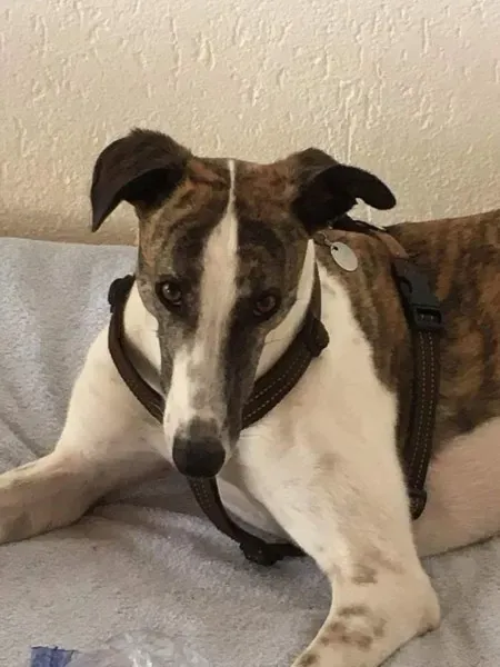 received 792378624250737