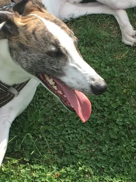 received 792378634250736