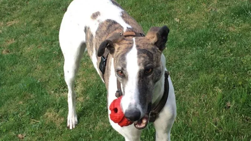 received 792378637584069